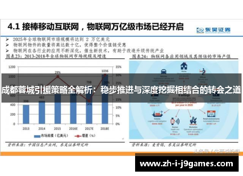 成都蓉城引援策略全解析：稳步推进与深度挖掘相结合的转会之道
